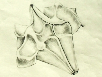 https://www.emd.tu-braunschweig.de/files/gimgs/th-101_101_zeichenworkshop131.jpg