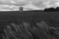 https://www.emd.tu-braunschweig.de/files/gimgs/th-131_131_zumthorkapelle-1.jpg