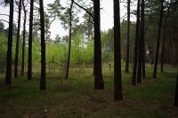 https://www.emd.tu-braunschweig.de/files/gimgs/th-132_132_timeout-1.jpg