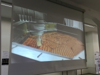 https://www.emd.tu-braunschweig.de/files/gimgs/th-155_155_img0144.jpg