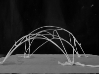 https://www.emd.tu-braunschweig.de/files/gimgs/th-270_Catenary_Models3.jpg