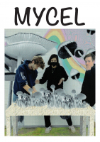 https://www.emd.tu-braunschweig.de/files/gimgs/th-328_MYCELCOMIC_Page_1.jpg