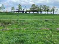 https://www.emd.tu-braunschweig.de/files/gimgs/th-370_IMG_1908_Kopie.jpg