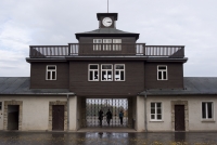 https://www.emd.tu-braunschweig.de/files/gimgs/th-83_83_buchenwald06.jpg