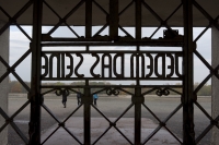https://www.emd.tu-braunschweig.de/files/gimgs/th-83_83_buchenwald07.jpg