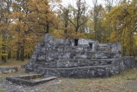 https://www.emd.tu-braunschweig.de/files/gimgs/th-83_83_buchenwald14.jpg